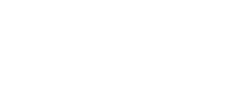 Seta