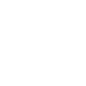Ícone de Privacidade